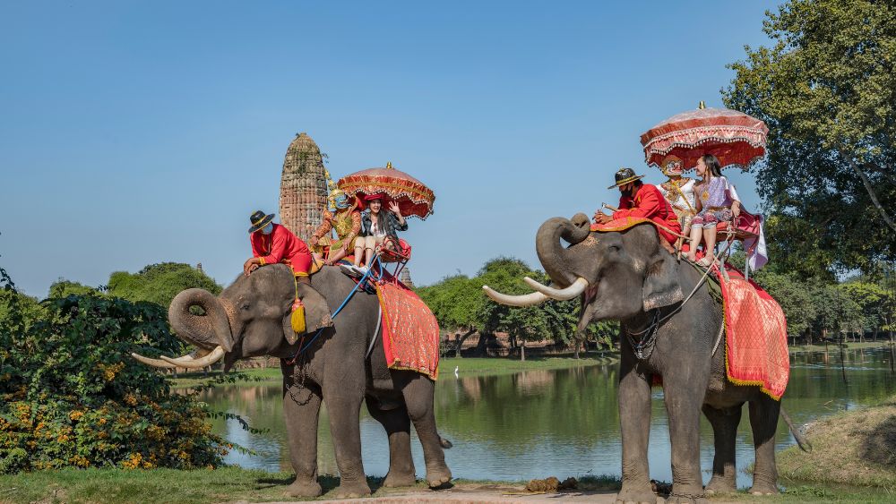 Elephant Safari India - Resort Trimurti